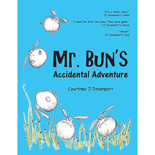 Mr. Bun's Accidental Adventure, Courtney J Davenport