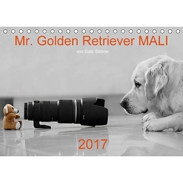 Mr. Golden Retriever MALI (Tischkalender 2017 DIN A5 quer), Gabriele Stickler