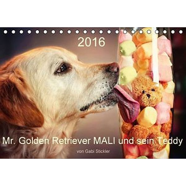 Mr. Golden Retriever MALI und sein Teddy (Tischkalender 2016 DIN A5 quer), Gabi Stickler