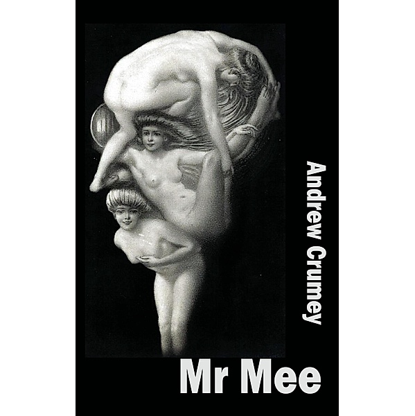 Mr Mee / Dedalus Original Fiction in Paperback Bd.0, Andrew Crumey