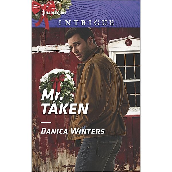 Mr. Taken / Mystery Christmas, Danica Winters