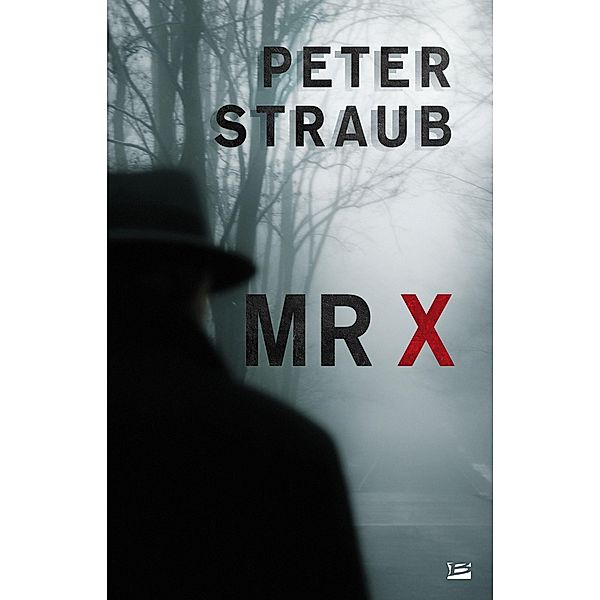 Mr X / L'Ombre, Peter Straub