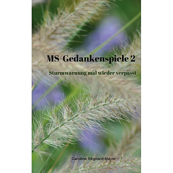 MS-Gedankenspiele 2 / MS-Gedankenspiele Bd.2, Caroline Régnard-Mayer