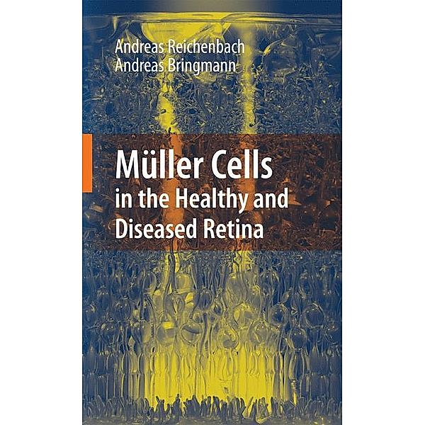 Müller Cells in the Healthy and Diseased Retina, Andreas Reichenbach, Andreas Bringmann