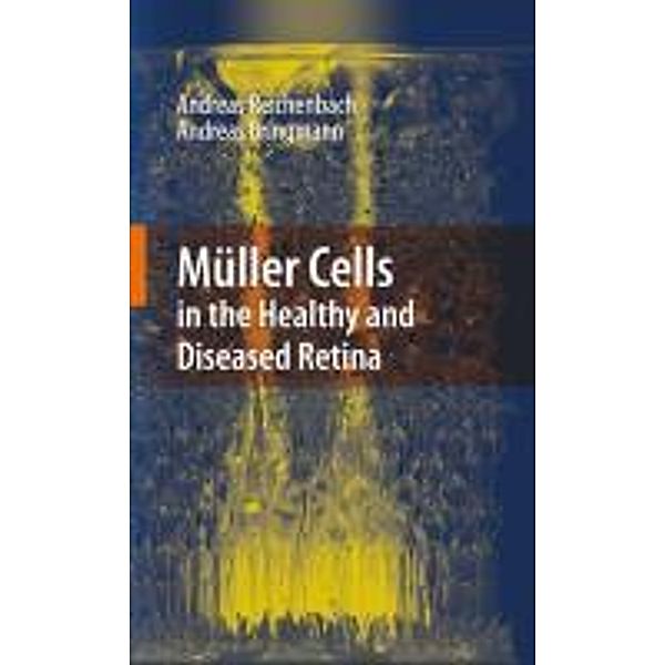 Müller Cells in the Healthy and Diseased Retina, Andreas Reichenbach, Andreas Bringmann