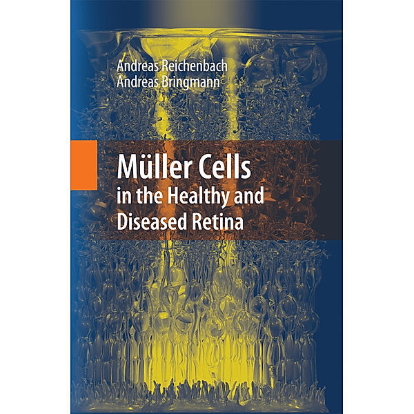 Müller Cells in the Healthy and Diseased Retina, Andreas Reichenbach, Andreas Bringmann