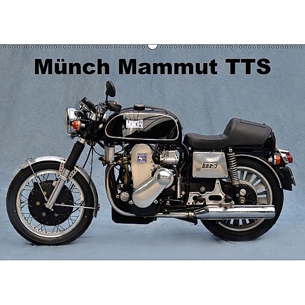 Münch Mammut TTS (Wandkalender 2017 DIN A2 quer), Ingo Laue