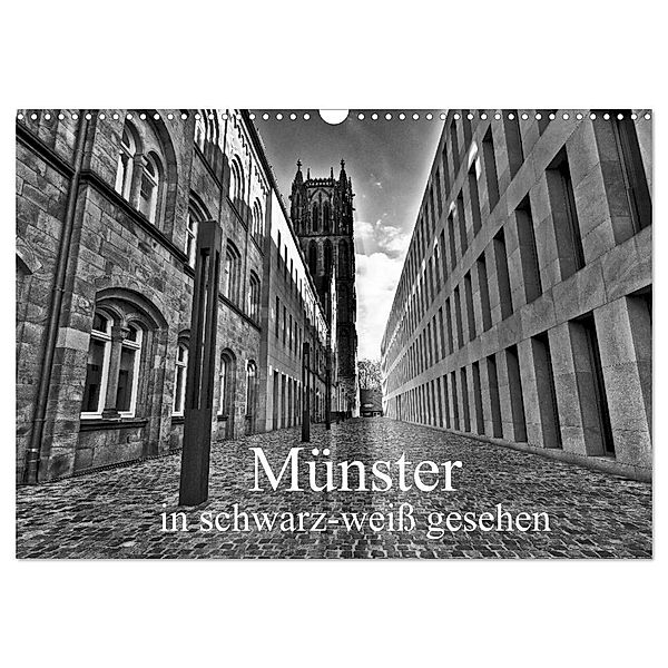 Münster in schwarz-weiss gesehen (Wandkalender 2024 DIN A3 quer), CALVENDO Monatskalender, Paul Michalzik