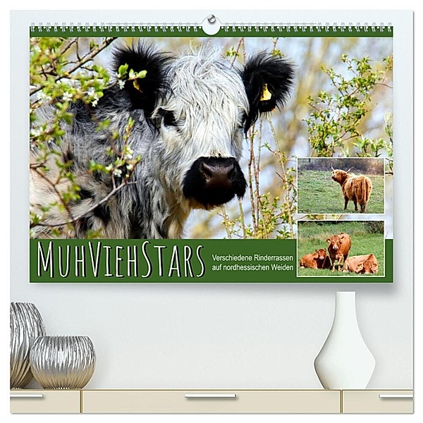 MuhViehStars (hochwertiger Premium Wandkalender 2024 DIN A2 quer), Kunstdruck in Hochglanz, Sabine Löwer