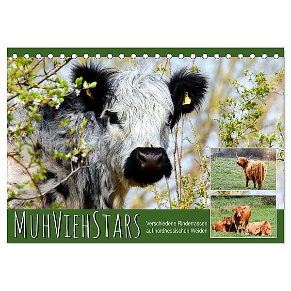 MuhViehStars (Tischkalender 2025 DIN A5 quer), CALVENDO Monatskalender, Calvendo, Sabine Löwer
