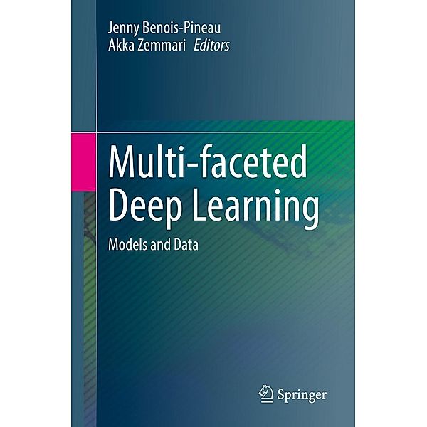 Multi-faceted Deep Learning