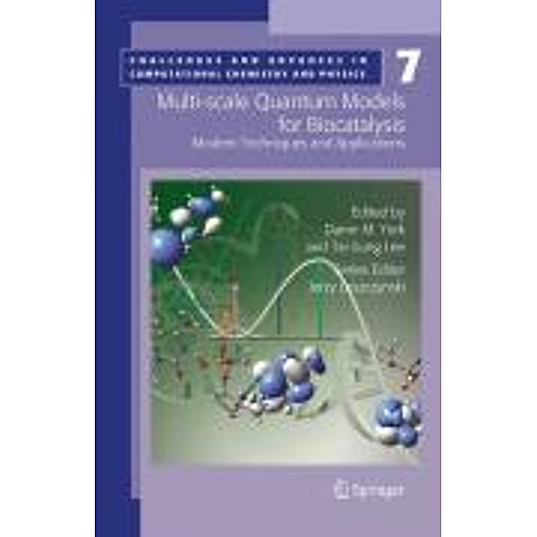 Multi-scale Quantum Models for Biocatalysis / Challenges and Advances in Computational Chemistry and Physics Bd.7