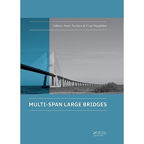 Multi-Span Large Bridges