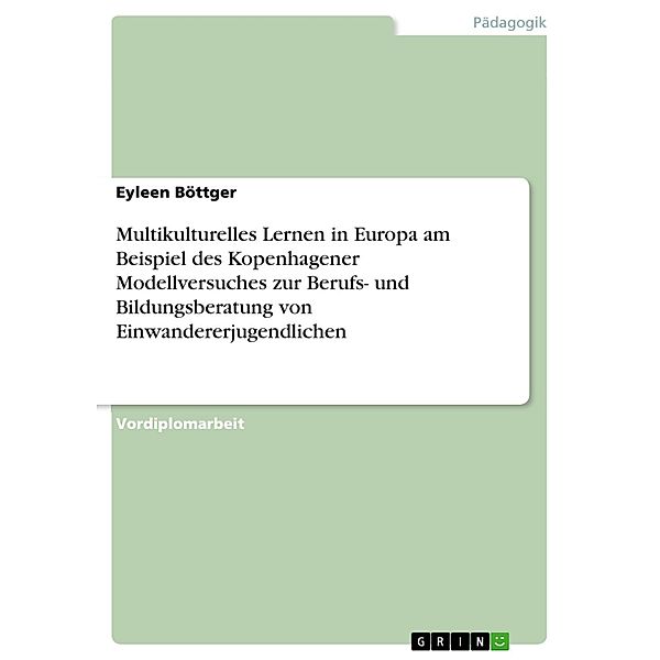 Multikulturelles Lernen in Europa am Beispiel des Kopenhagener Modellversuches zur Berufs- und Bildungsberatung von Einwandererjugendlichen, Eyleen Böttger