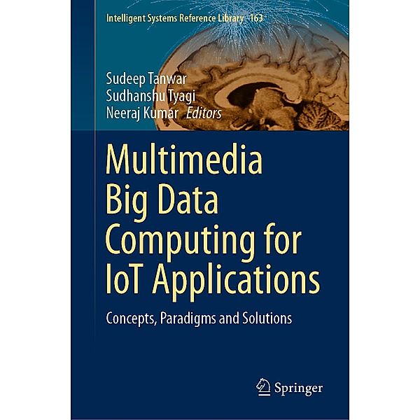 Multimedia Big Data Computing for IoT Applications / Intelligent Systems Reference Library Bd.163