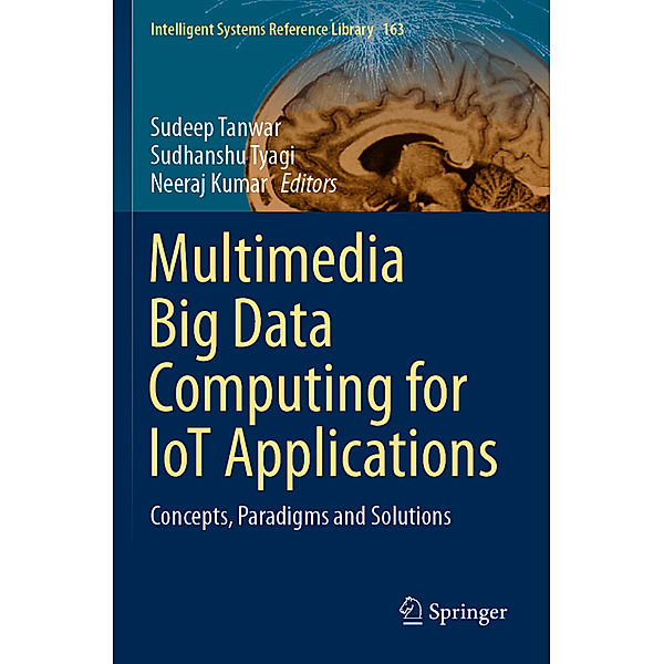 Multimedia Big Data Computing for IoT Applications