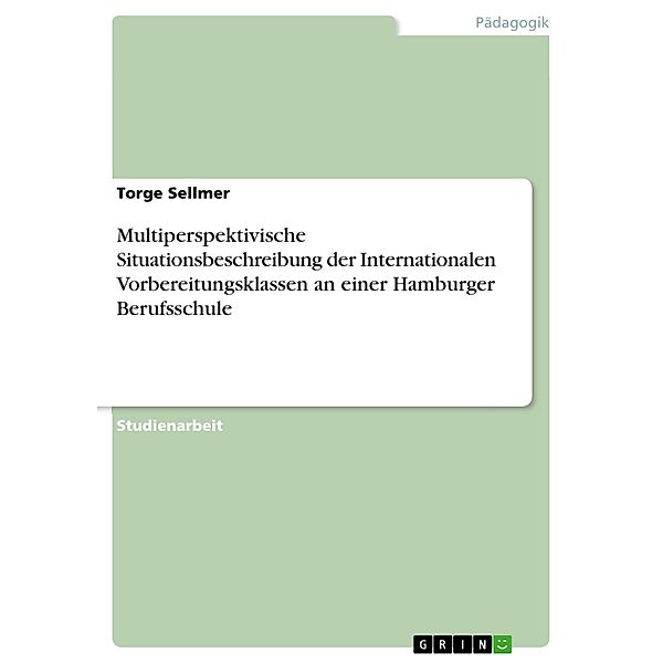 Multiperspektivische Situationsbeschreibung der Internationalen Vorbereitungsklassen an einer Hamburger Berufsschule, Torge Sellmer