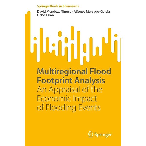 Multiregional Flood Footprint Analysis / SpringerBriefs in Economics, David Mendoza-Tinoco, Alfonso Mercado-Garcia, Dabo Guan