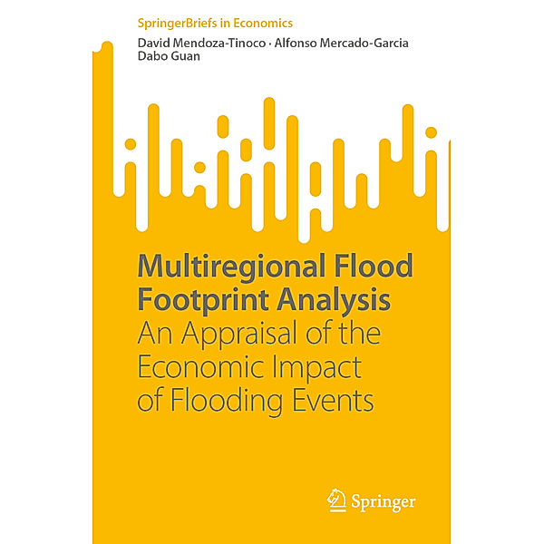 Multiregional Flood Footprint Analysis, David Mendoza-Tinoco, Alfonso Mercado-Garcia, Dabo Guan