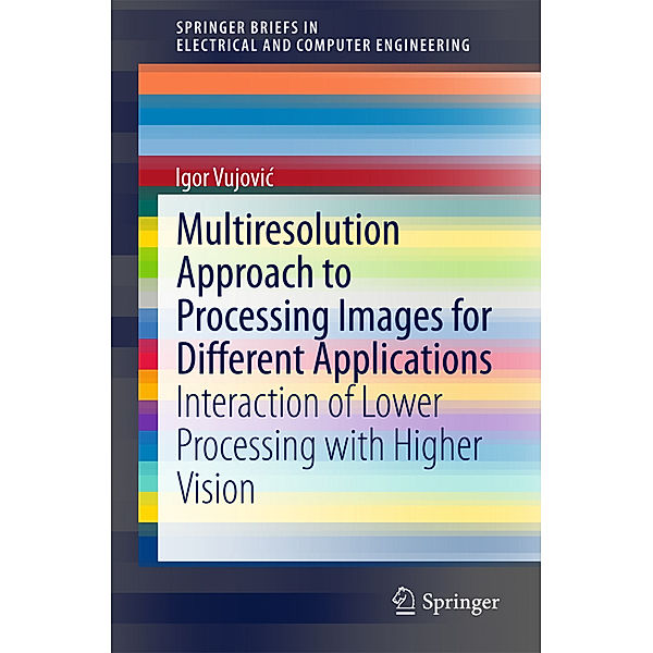 Multiresolution Approach to Processing Images for Different Applications, Igor Vujovic