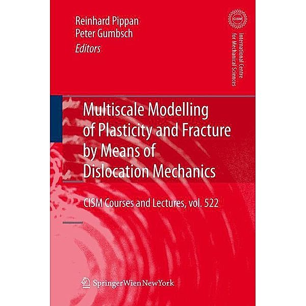 Multiscale Modelling of Plasticity and Fracture by Means of Dislocation Mechanics