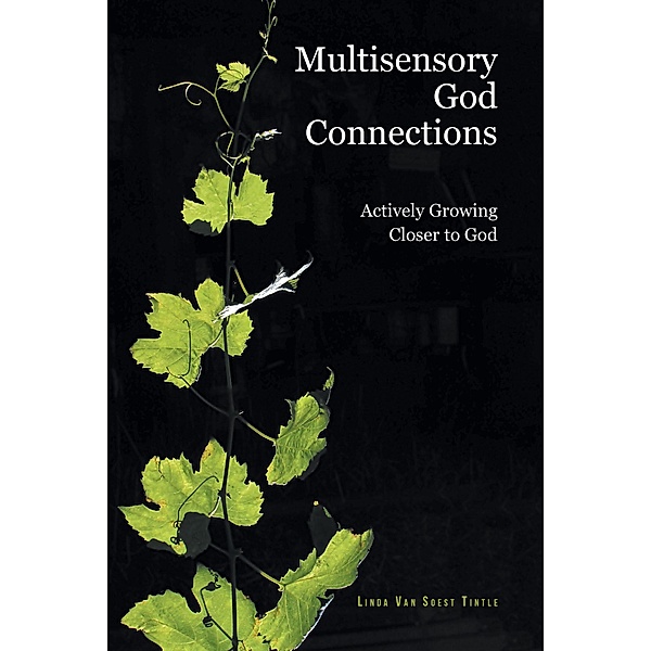 Multisensory God Connections, Linda van Soest Tintle