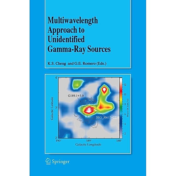 Multiwavelength Approach to Unidentified Gamma-Ray Sources