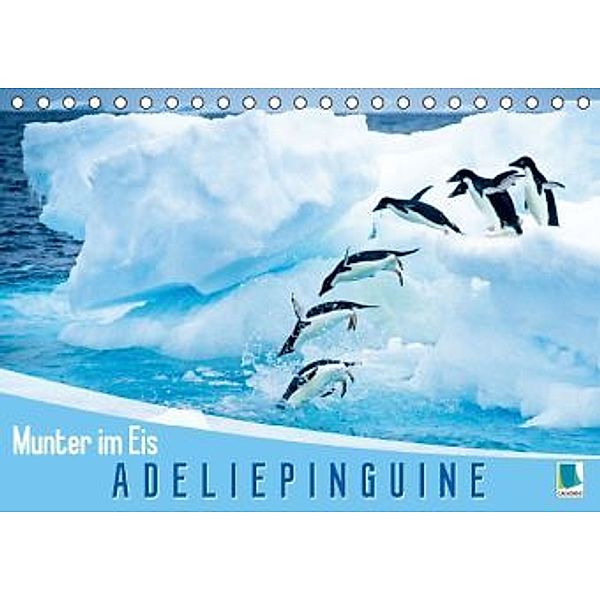 Munter im Eis Adeliepinguine (Tischkalender 2015 DIN A5 quer), CALVENDO