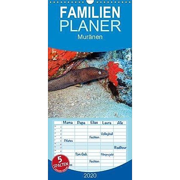 Muränen - Familienplaner hoch (Wandkalender 2020 , 21 cm x 45 cm, hoch), Lars Eberschulz