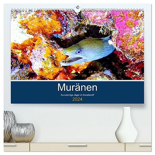 Muränen - Kurzsichtige Jäger im Korallenriff (hochwertiger Premium Wandkalender 2024 DIN A2 quer), Kunstdruck in Hochglanz, Andrea Heß