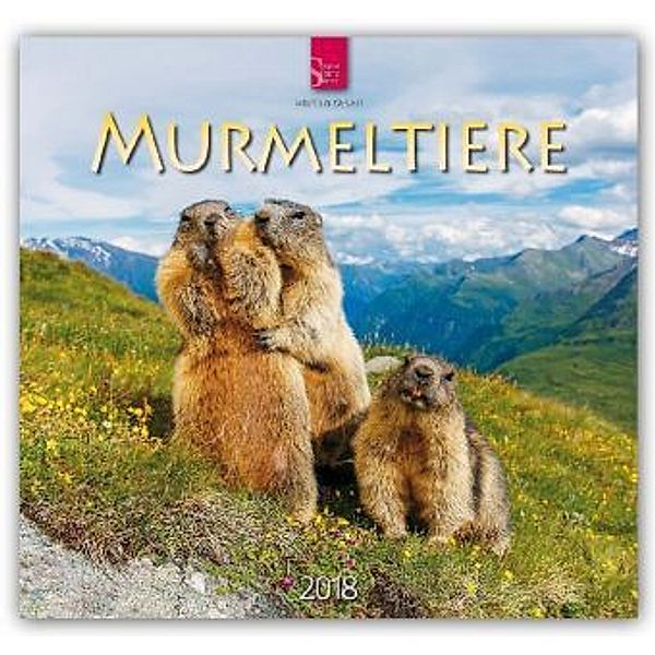 Murmeltiere 2018