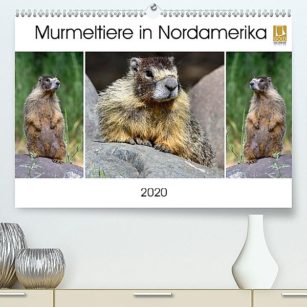 Murmeltiere in Nordamerika (Premium-Kalender 2020 DIN A2 quer), Dieter-M. Wilczek
