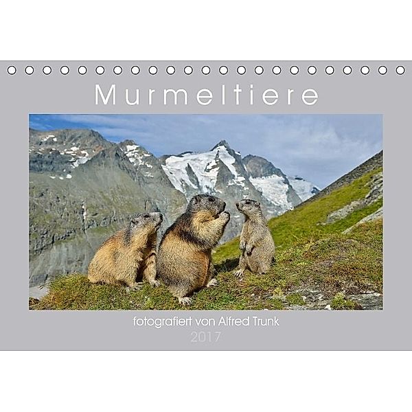 MurmeltiereAT-Version (Tischkalender 2017 DIN A5 quer), Alfred Trunk