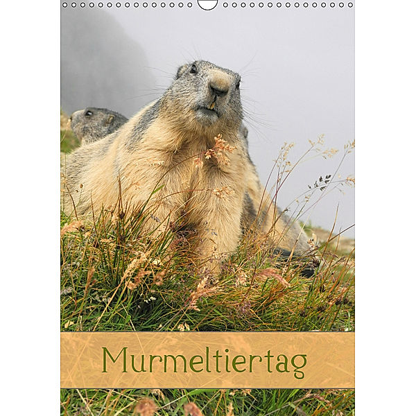 Murmeltiertag (Wandkalender 2019 DIN A3 hoch), Andrea Pons