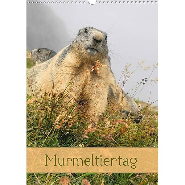 Murmeltiertag (Wandkalender 2023 DIN A3 hoch), Andrea Pons