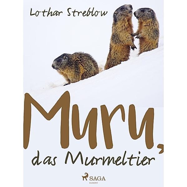 Murru, das Murmeltier / Tiere in ihrem Lebensraum  Bd.4, Lothar Streblow