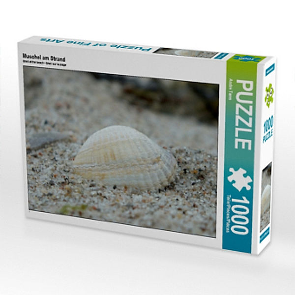 Muschel am Strand (Puzzle), André Tams