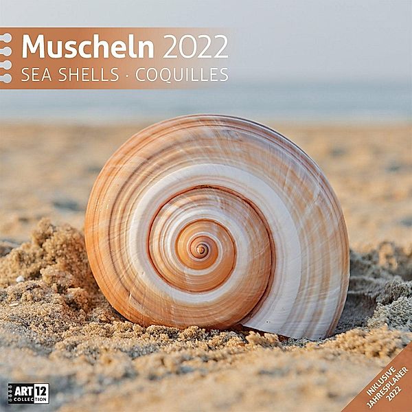 Muscheln 2022