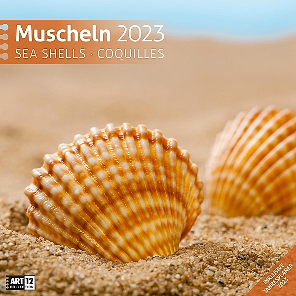 Muscheln Kalender 2023 - 30x30, Ackermann Kunstverlag