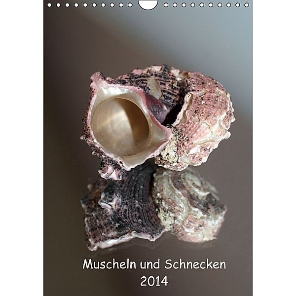 Muscheln und Schnecken 2014 (Wandkalender 2014 DIN A4 hoch), Christine Daus