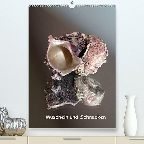 Muscheln und Schnecken (Premium, hochwertiger DIN A2 Wandkalender 2022, Kunstdruck in Hochglanz), Christine Daus