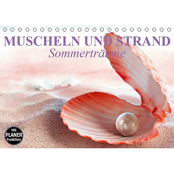 Muscheln und Strand - Sommerträume (Tischkalender 2019 DIN A5 quer), Elisabeth Stanzer
