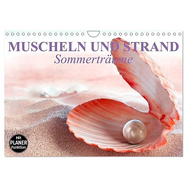 Muscheln und Strand - Sommerträume (Wandkalender 2024 DIN A4 quer), CALVENDO Monatskalender, Elisabeth Stanzer