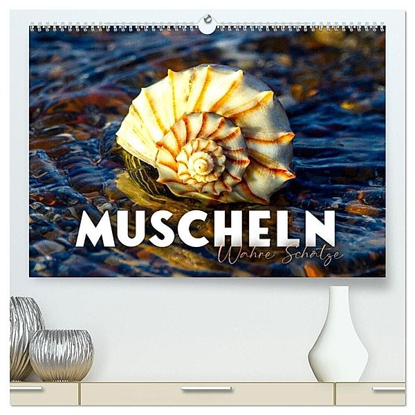 Muscheln - Wahre Schätze (hochwertiger Premium Wandkalender 2024 DIN A2 quer), Kunstdruck in Hochglanz, SF