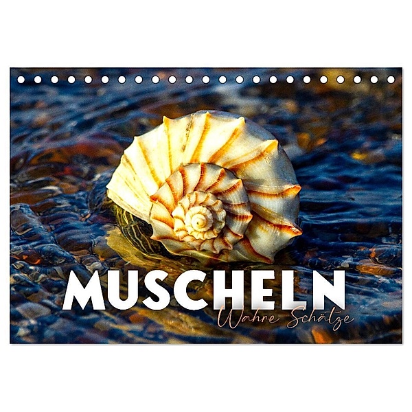 Muscheln - Wahre Schätze (Tischkalender 2024 DIN A5 quer), CALVENDO Monatskalender, SF