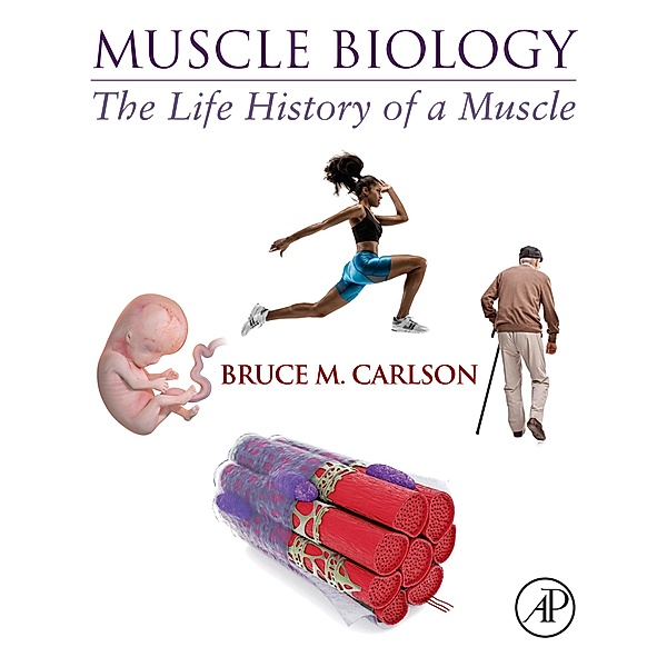 Muscle Biology, Bruce M. Carlson
