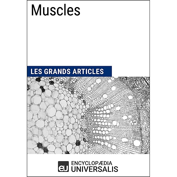 Muscles, Encyclopaedia Universalis