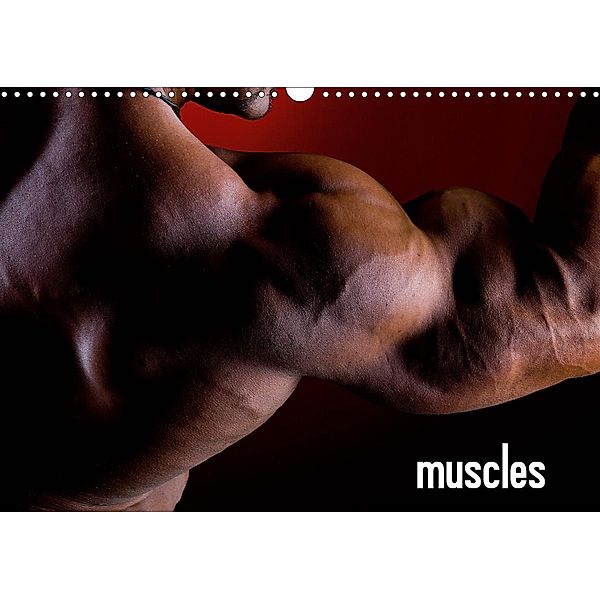 muscles (Wandkalender 2020 DIN A3 quer), Marcel Mende