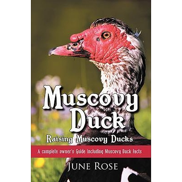 Muscovy Duck / Gohas, June Rose