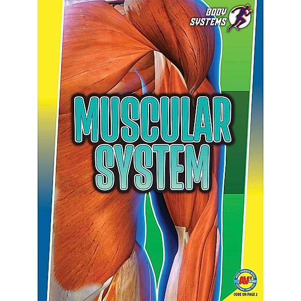 Muscular System, Simon Rose